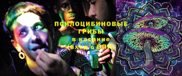 apvp Дмитриев