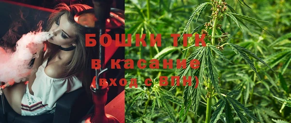 apvp Дмитриев