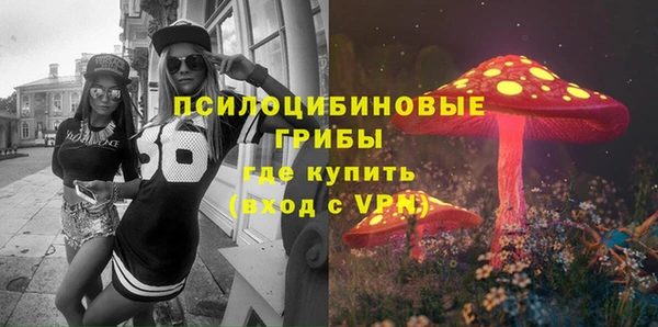 ALPHA-PVP Гусь-Хрустальный