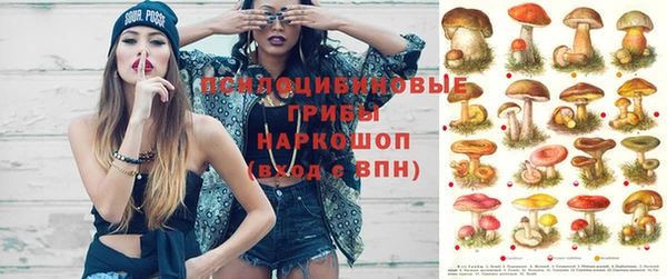 прущая мука Гусев