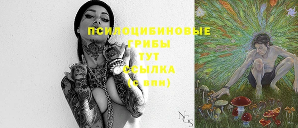 прущая мука Дмитров