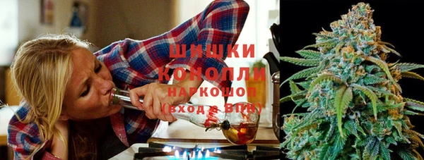 apvp Дмитриев