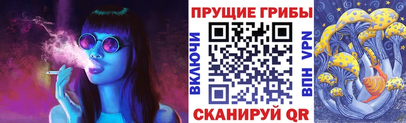 Купить где  Липки  Галлюциногенные грибы ЛСД 